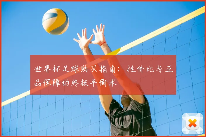 世界杯足球购买指南：性价比与正品保障的终极平衡术