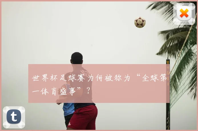 世界杯足球赛为何被称为“全球第一体育盛事”？
