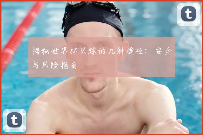 揭秘世界杯买球的几种途径：安全与风险指南