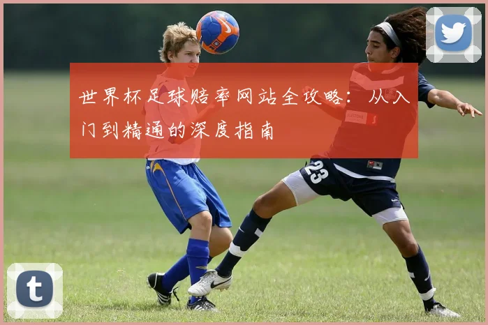 世界杯足球赔率网站全攻略：从入门到精通的深度指南