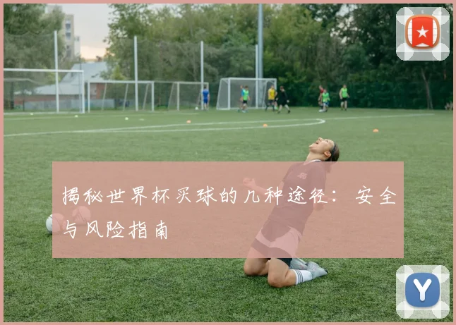 揭秘世界杯买球的几种途径：安全与风险指南