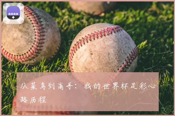 从菜鸟到高手：我的世界杯足彩心路历程
