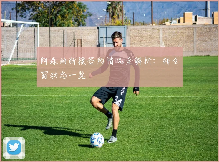 阿森纳新援签约情况全解析：转会窗动态一览