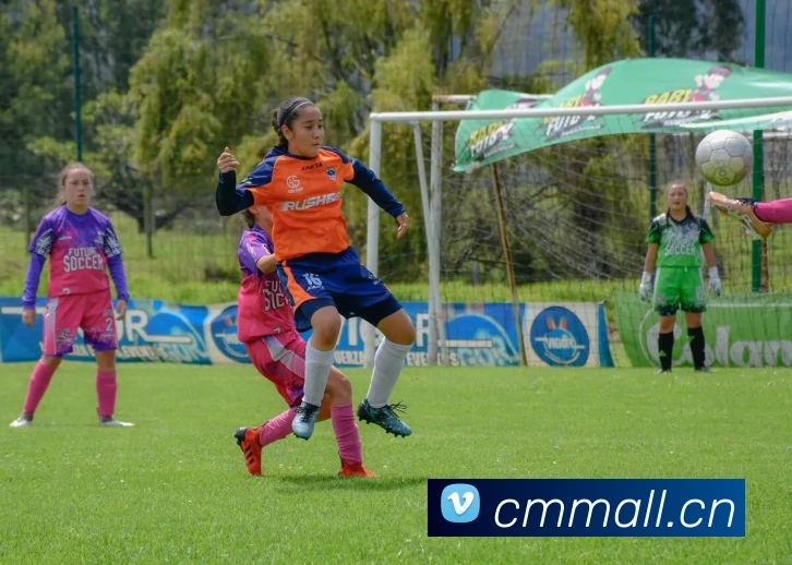 多媒体互动体验